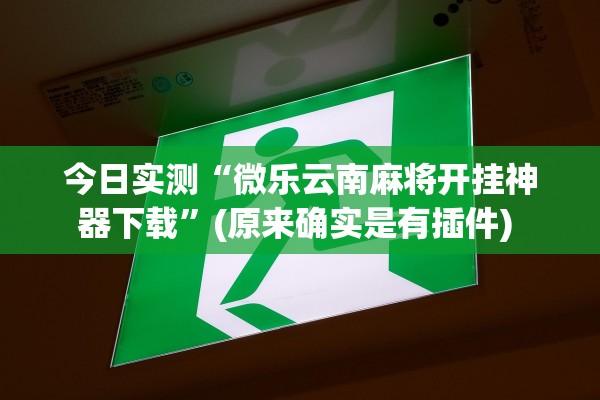 今日实测“微乐云南麻将开挂神器下载”(原来确实是有插件) 