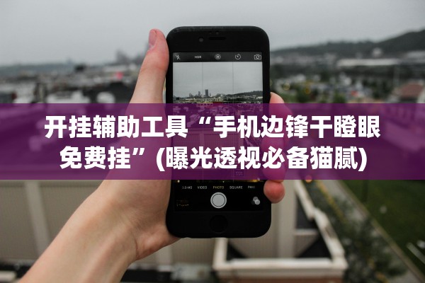 开挂辅助工具“手机边锋干瞪眼免费挂	”(曝光透视必备猫腻)