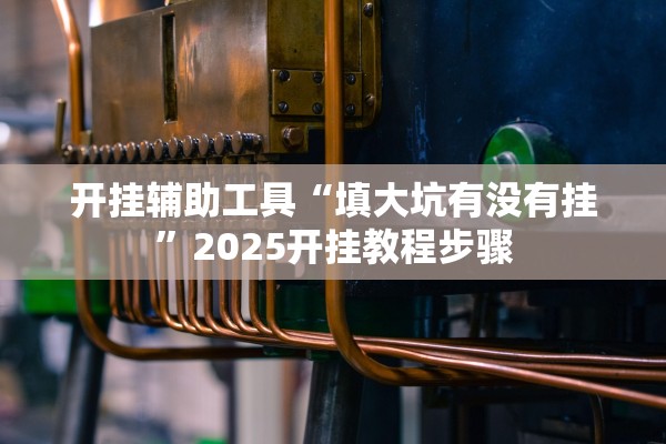 开挂辅助工具“填大坑有没有挂”2025开挂教程步骤