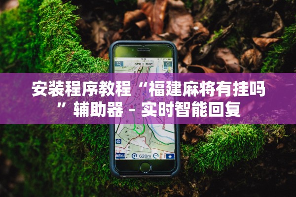 安装程序教程“福建麻将有挂吗”辅助器 – 实时智能回复