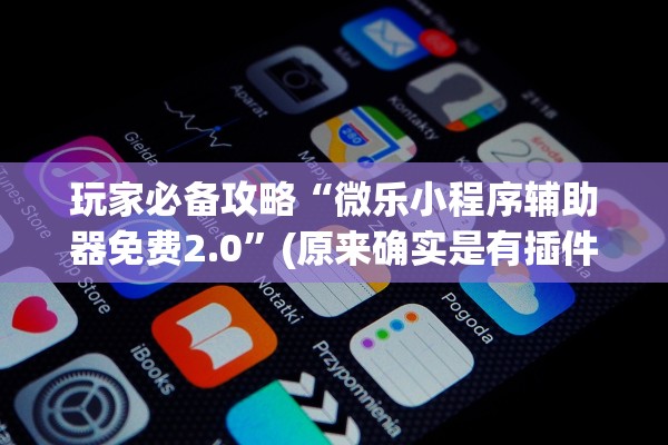 玩家必备攻略“微乐小程序辅助器免费2.0”(原来确实是有插件) 