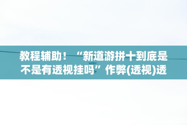 教程辅助！“新道游拼十到底是不是有透视挂吗	”作弊(透视)透视辅助 