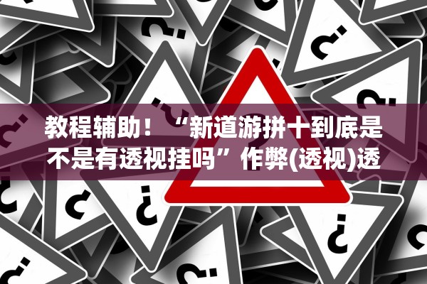 教程辅助！“新道游拼十到底是不是有透视挂吗	”作弊(透视)透视辅助 