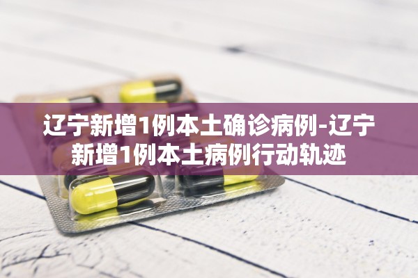 辽宁新增1例本土确诊病例-辽宁新增1例本土病例行动轨迹