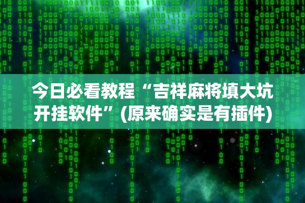 今日必看教程“吉祥麻将填大坑开挂软件”(原来确实是有插件)