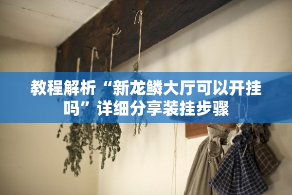 教程解析“新龙鳞大厅可以开挂吗”详细分享装挂步骤