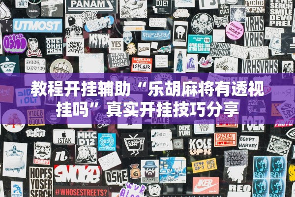 教程开挂辅助“乐胡麻将有透视挂吗”真实开挂技巧分享