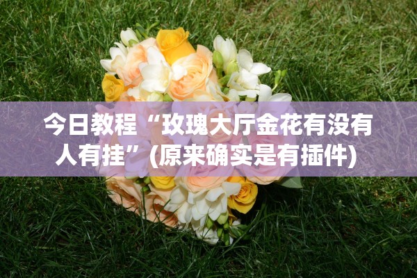 今日教程“玫瑰大厅金花有没有人有挂	”(原来确实是有插件) 