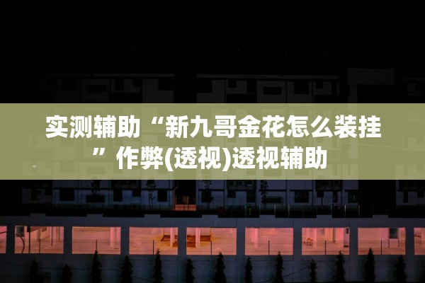 实测辅助“新九哥金花怎么装挂”作弊(透视)透视辅助 
