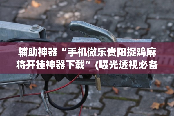 辅助神器“手机微乐贵阳捉鸡麻将开挂神器下载”(曝光透视必备猫腻)