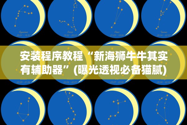 安装程序教程“新海狮牛牛其实有辅助器	”(曝光透视必备猫腻)