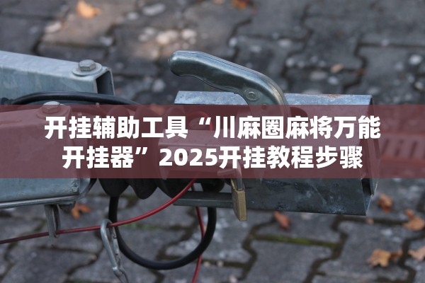 开挂辅助工具“川麻圈麻将万能开挂器	”2025开挂教程步骤