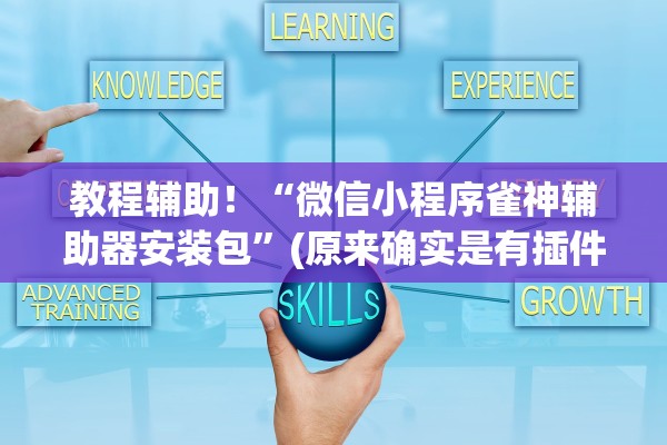 教程辅助！“微信小程序雀神辅助器安装包”(原来确实是有插件)