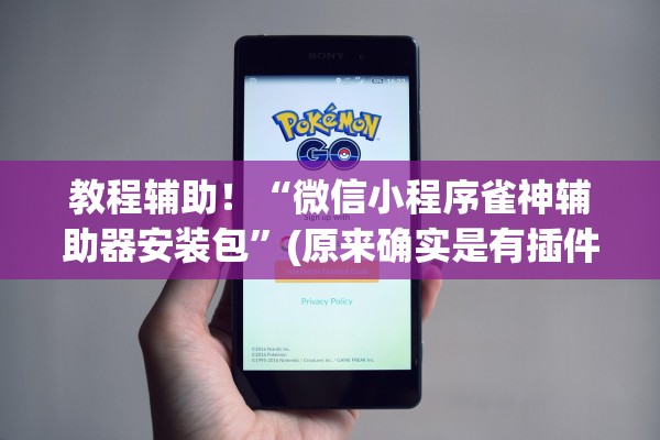 教程辅助！“微信小程序雀神辅助器安装包”(原来确实是有插件)