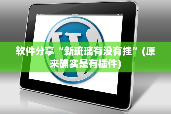 软件分享“新琉璃有没有挂	”(原来确实是有插件)
