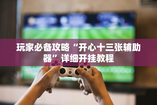 玩家必备攻略“开心十三张辅助器”详细开挂教程
