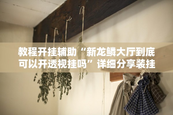 教程开挂辅助“新龙鳞大厅到底可以开透视挂吗”详细分享装挂步骤