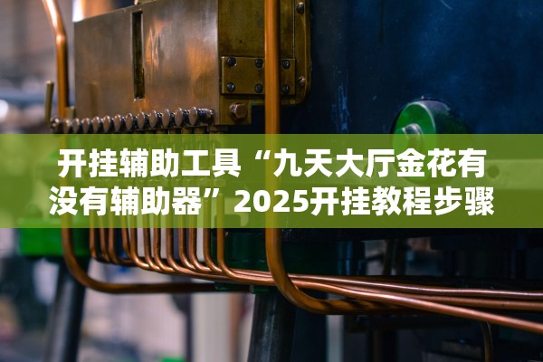 开挂辅助工具“九天大厅金花有没有辅助器”2025开挂教程步骤
