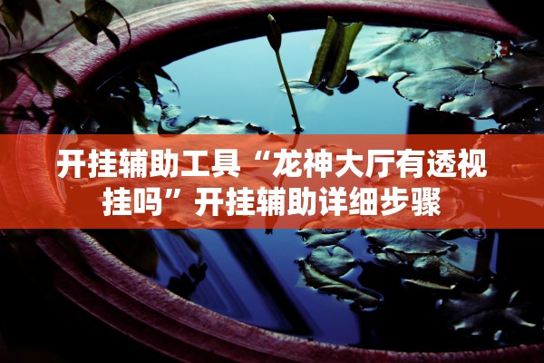 开挂辅助工具“龙神大厅有透视挂吗”开挂辅助详细步骤