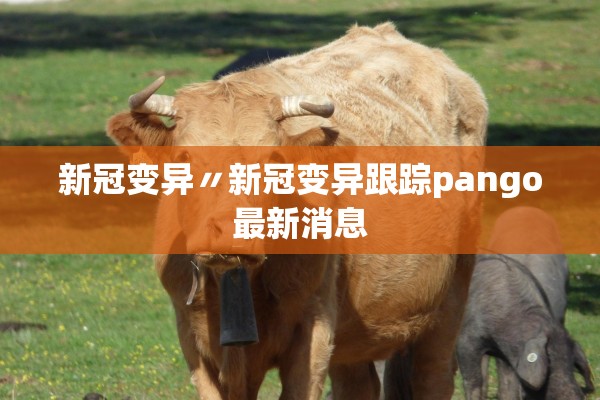 新冠变异〃新冠变异跟踪pango最新消息