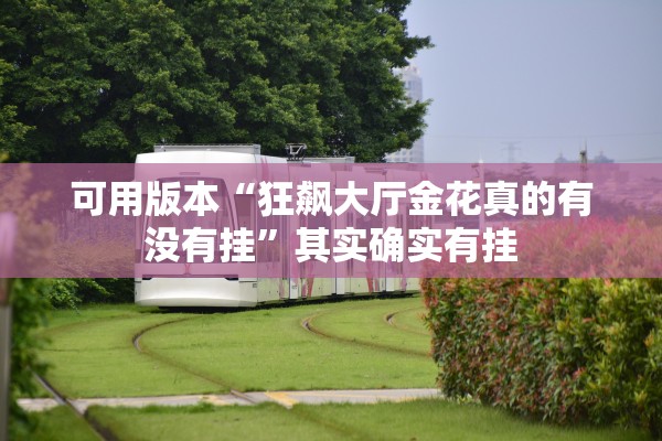 可用版本“狂飙大厅金花真的有没有挂	”其实确实有挂