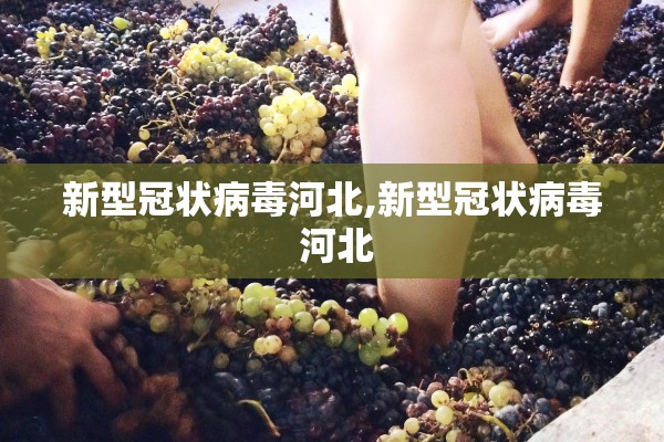 新型冠状病毒河北,新型冠状病毒 河北