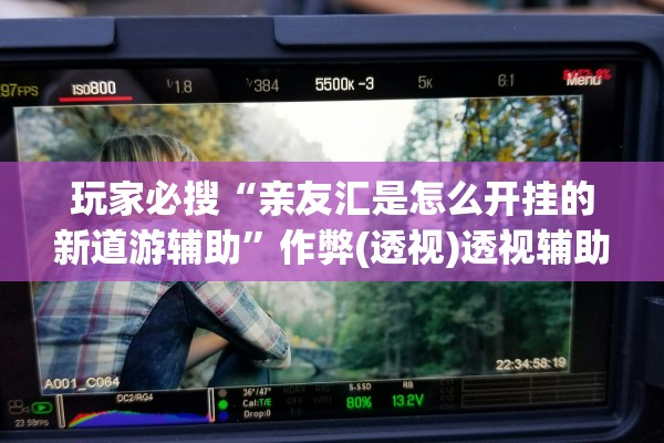 玩家必搜“亲友汇是怎么开挂的新道游辅助”作弊(透视)透视辅助 