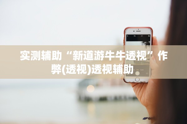 实测辅助“新道游牛牛透视”作弊(透视)透视辅助 