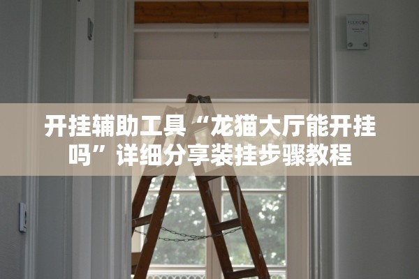 开挂辅助工具“龙猫大厅能开挂吗”详细分享装挂步骤教程