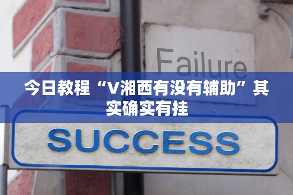 今日教程“V湘西有没有辅助”其实确实有挂