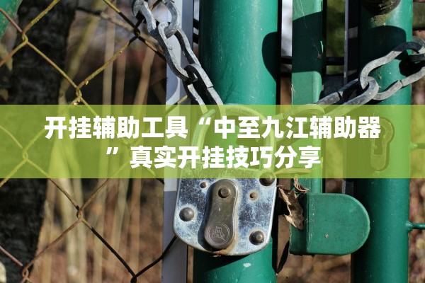 开挂辅助工具“中至九江辅助器”真实开挂技巧分享