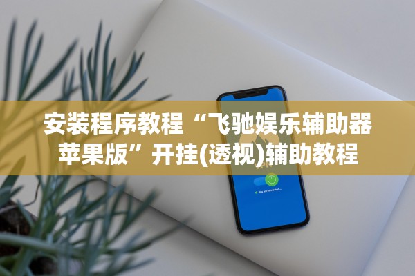 安装程序教程“飞驰娱乐辅助器苹果版”开挂(透视)辅助教程