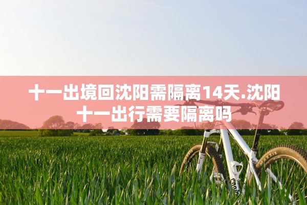 十一出境回沈阳需隔离14天.沈阳十一出行需要隔离吗