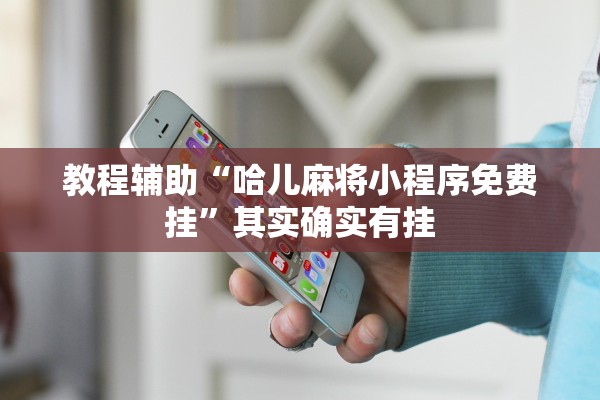 教程辅助“哈儿麻将小程序免费挂”其实确实有挂