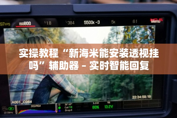 实操教程“新海米能安装透视挂吗”辅助器 – 实时智能回复