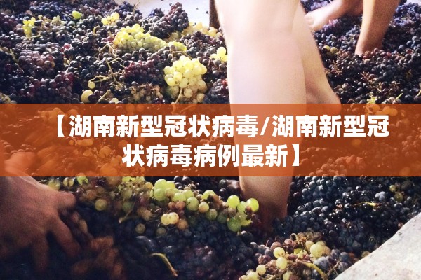 【湖南新型冠状病毒/湖南新型冠状病毒病例最新】