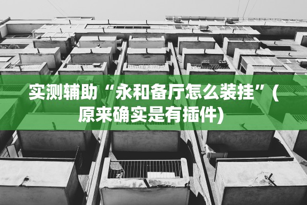 实测辅助“永和备厅怎么装挂”(原来确实是有插件) 