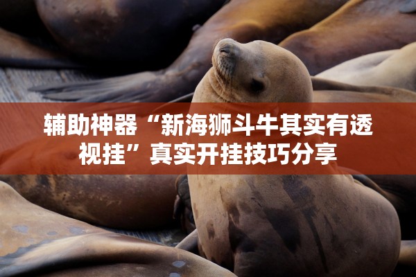 辅助神器“新海狮斗牛其实有透视挂”真实开挂技巧分享