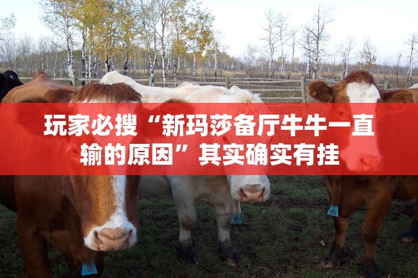 教程辅助！“微信家乡大贰开挂器”辅助器 – 实时智能回复