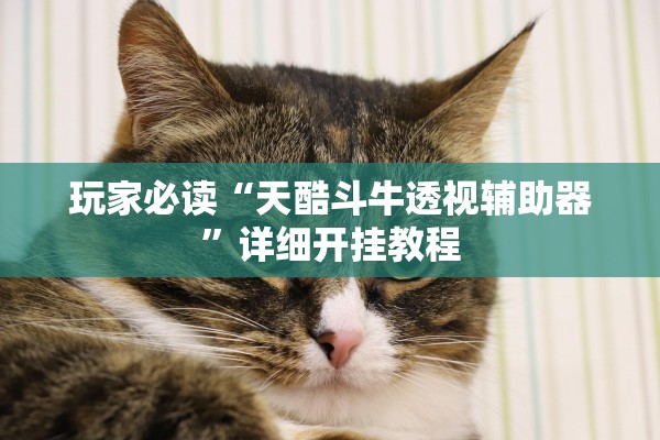 玩家必读“天酷斗牛透视辅助器	”详细开挂教程