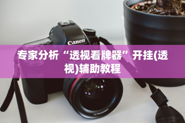 专家分析“透视看牌器	”开挂(透视)辅助教程