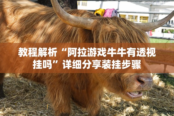 教程解析“阿拉游戏牛牛有透视挂吗”详细分享装挂步骤