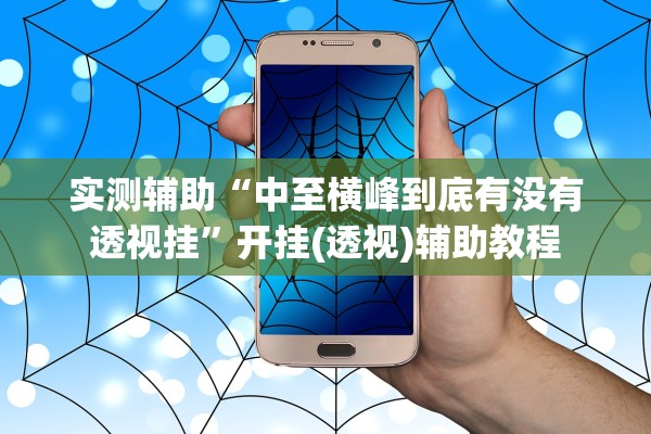 实测辅助“中至横峰到底有没有透视挂”开挂(透视)辅助教程