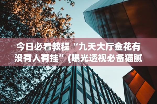 今日必看教程“九天大厅金花有没有人有挂”(曝光透视必备猫腻)
