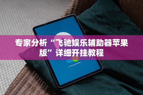 专家分析“飞驰娱乐辅助器苹果版”详细开挂教程