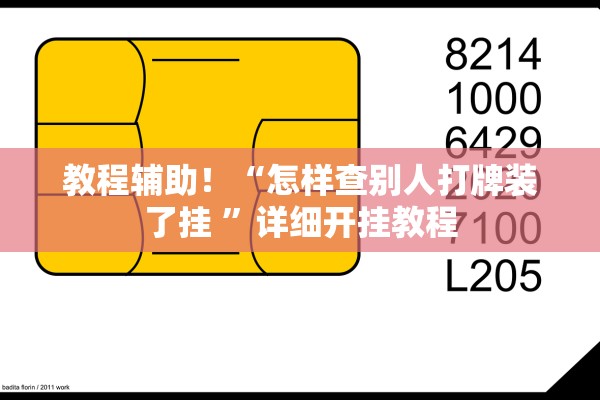 教程辅助！“怎样查别人打牌装了挂 ”详细开挂教程