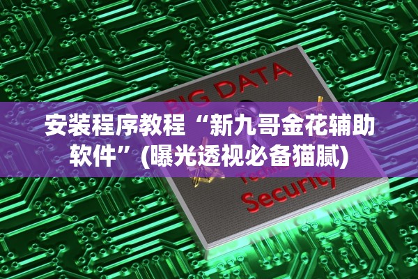 安装程序教程“新九哥金花辅助软件”(曝光透视必备猫腻)