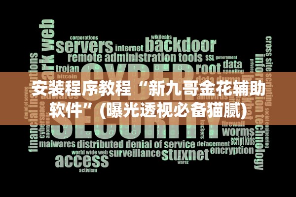 安装程序教程“新九哥金花辅助软件”(曝光透视必备猫腻)