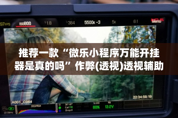 推荐一款“微乐小程序万能开挂器是真的吗”作弊(透视)透视辅助 