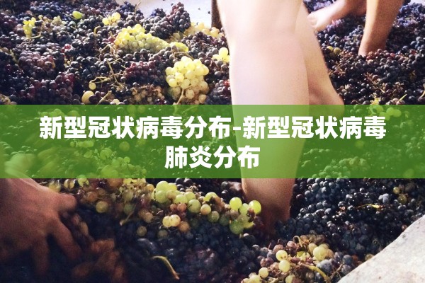 新型冠状病毒分布-新型冠状病毒肺炎分布